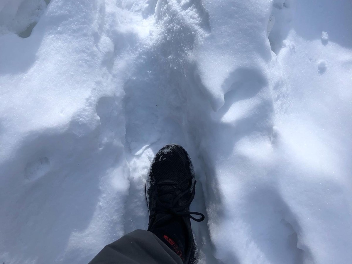 A hike to the&nbsp;past